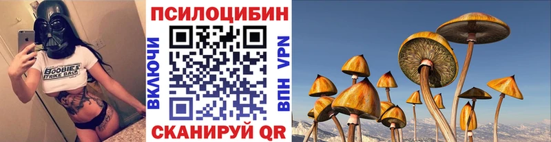 Псилоцибиновые грибы Cubensis Медынь