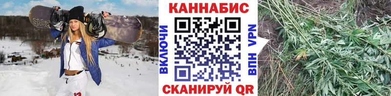 Бошки марихуана MAZAR  как найти закладки  Медынь 